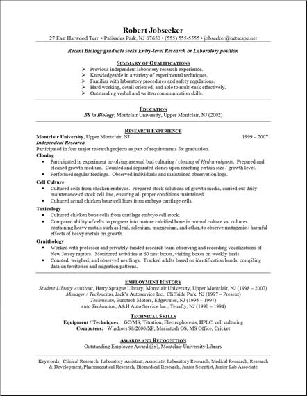 resume best resume format best resume format template