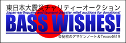 basswishes_logo_w252.jpg