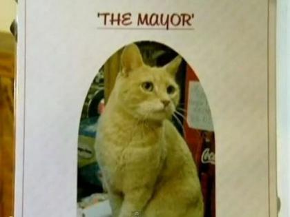 猫の市長