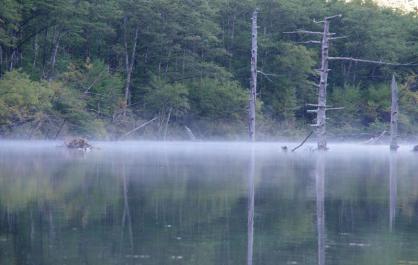 大正池の朝靄