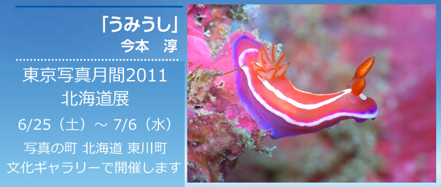 東京写真月間2011 北海道展 「いきものランド」うみうし