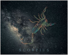 Scorpius~