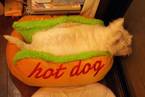 hotdogcuddler2.jpg