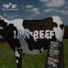 IAN BEEF / PLEASED TO MEAT YOU, WITH BEATS TO PLEASE YOU