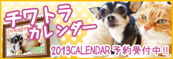 メール便　送料無料『チワトラカレンダー☆2013』へ