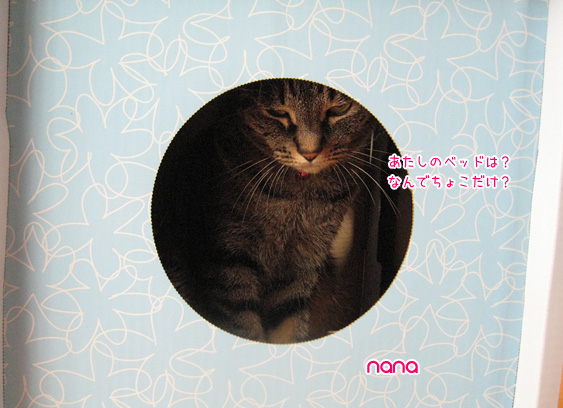 nana787.jpg