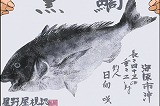 木村魚拓