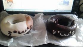 doughnuts_cat.jpg