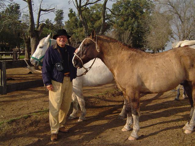 ISE HORSE ARGENTINE