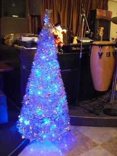 Christmas Tree2010