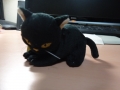 春草展黒猫