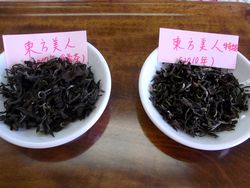 台湾茶③ (5)