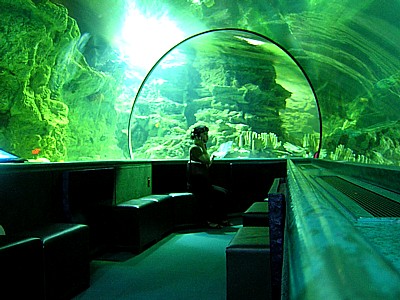 グアム水族館