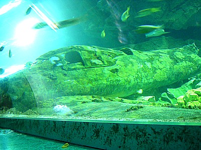 グアム水族館