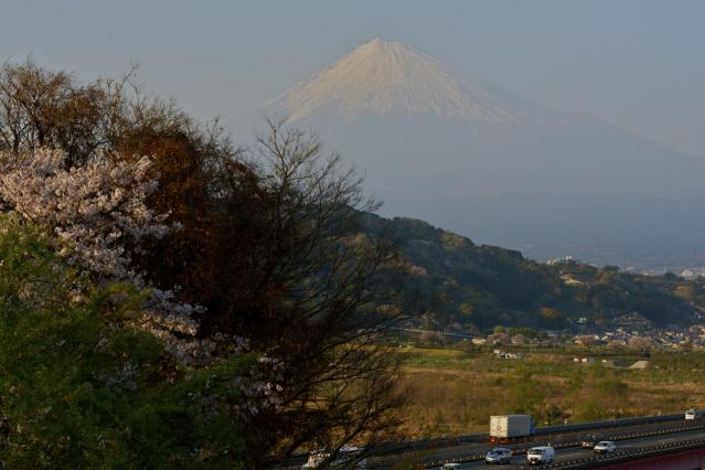 富士川からの富士山2336
