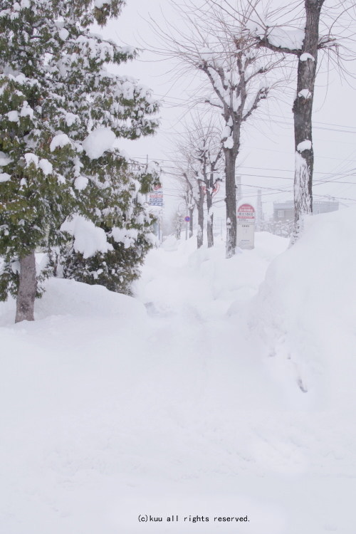 雪の日のバス停付近