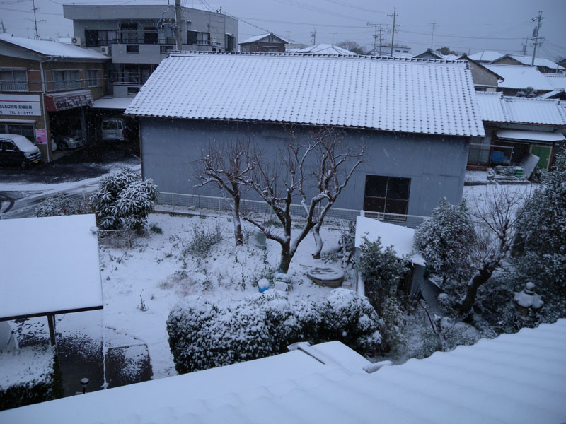 20141218雪