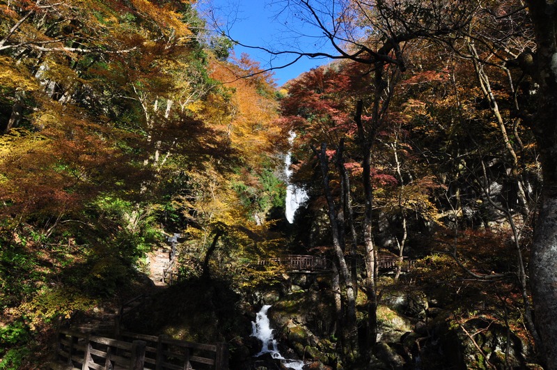 岡山広島小豆島紅葉ドライブその１ 奥津渓 神庭の滝 中国