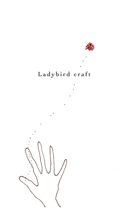 Ladybird craft