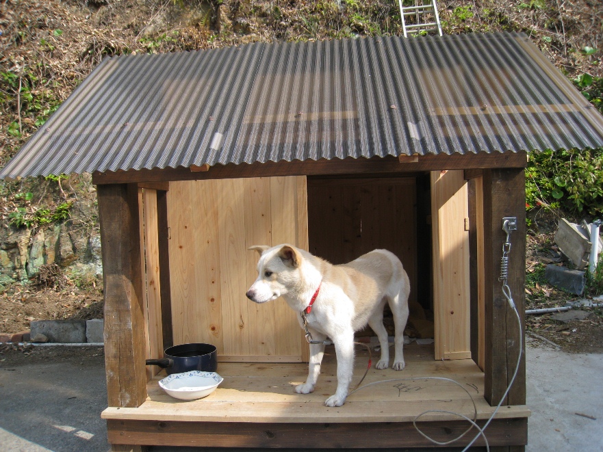 九州で里山暮らし 田舎暮らし 手作り犬小屋
