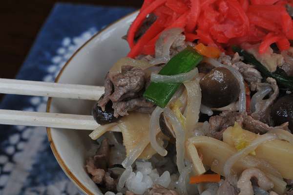 beef bowl-donburi ,himawari,  230423 1-10-s