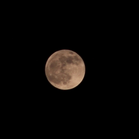 moon121011.jpg