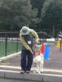 関西盲導犬協会見学(3)