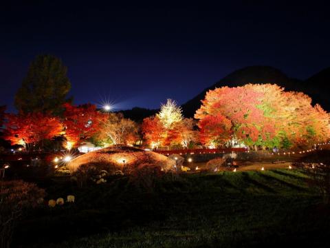 富士山　河口湖紅葉まつり