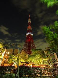 東京タワー　ハート