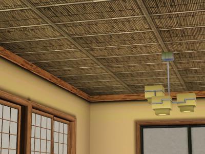ceiling_yoshizu.jpg