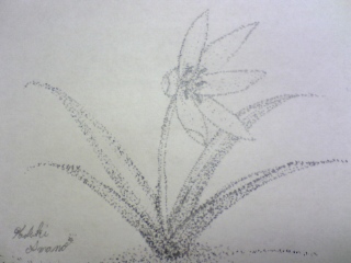 点描画で植物を描く 香月のlove Holic