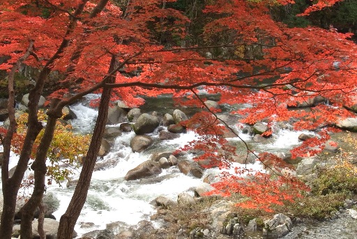 紅葉と渓谷