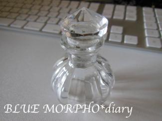 bluemorpho.diary.2012.6.5.1