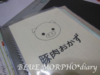 bluemorpho.diary.2012.4.19.2