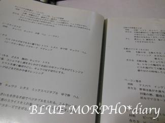bluemorpho.diary.2012.4.19.1