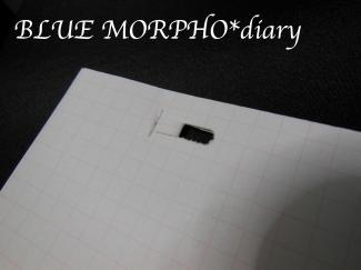 bluemorpho.diary.2012.4.21.2