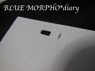 bluemorpho.diary.2012.4.21.1