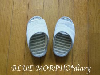 bluemorpho.diary.2012..4.23.2
