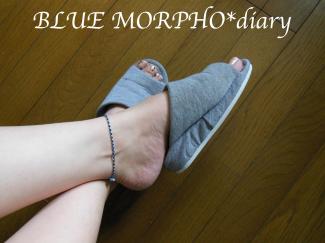 bluemorpho.diary.2012..4.23.1