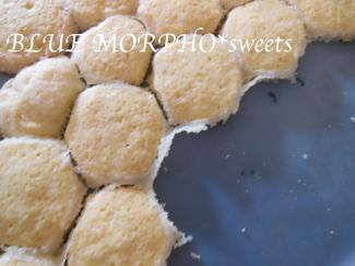 bluemorpho.sweets.2012.4.24.2