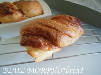 bluemorpho.bread.2012.5.3.2