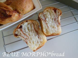 bluemorpho.bread.2012.5.3.1