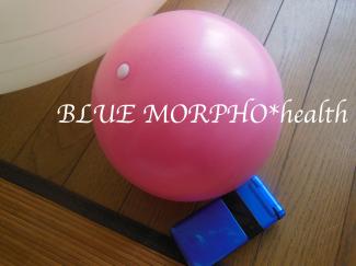 bluemorpho.health.2012.6.3.1