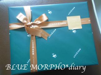 bluemorpho.diary.2012.6.11.2