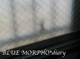 bluemorpho.diary.2012.6.18.1