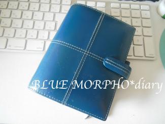 bluemorpho.diary.2012.6.22