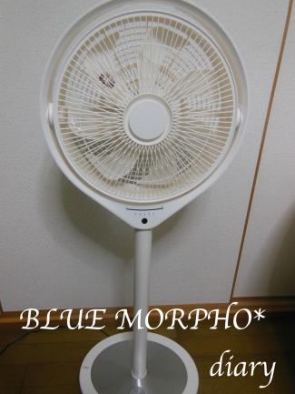 bluemorpho.diary.2012.7.12