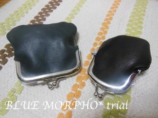 bluemorpho.trial.2012.7.10.1