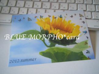 bluemorpho.card.2012.7.28