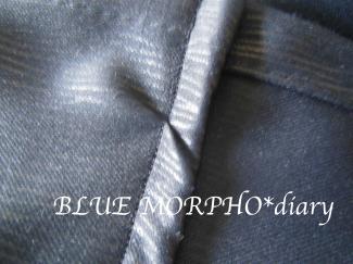 bluemorpho.diary.2012.8.1.1